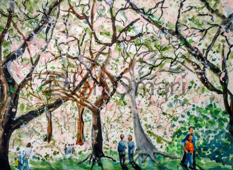 Cherry Blossoms in Paris 15×23 $275