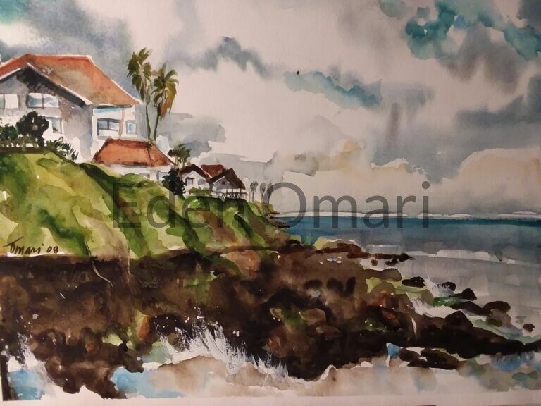 Beach Houses San Diego 16×20