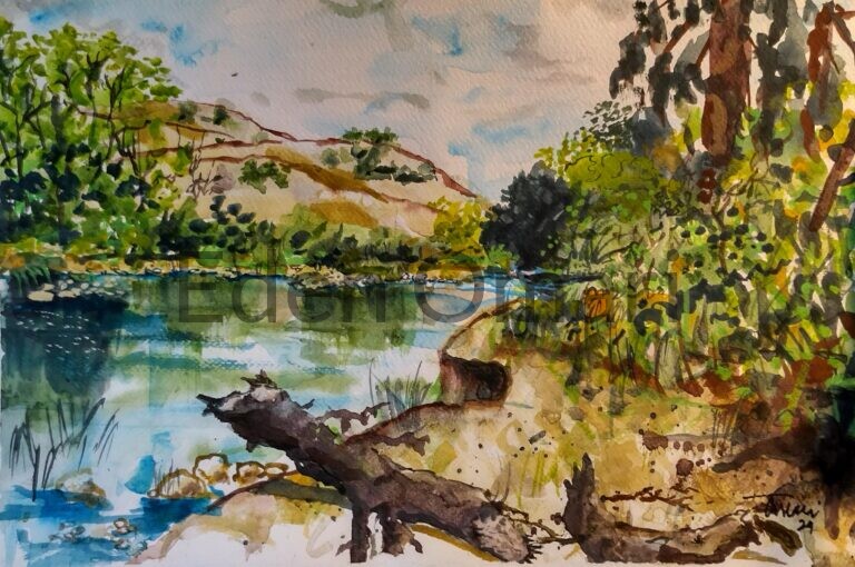 Fallen Limb Under Mount Pisgah 12×18 $255