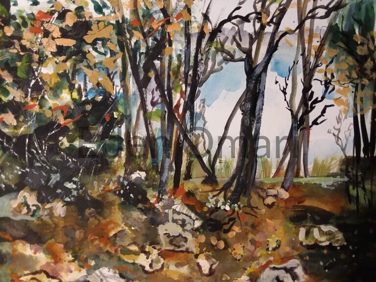Black Forrest 15×20 7180848