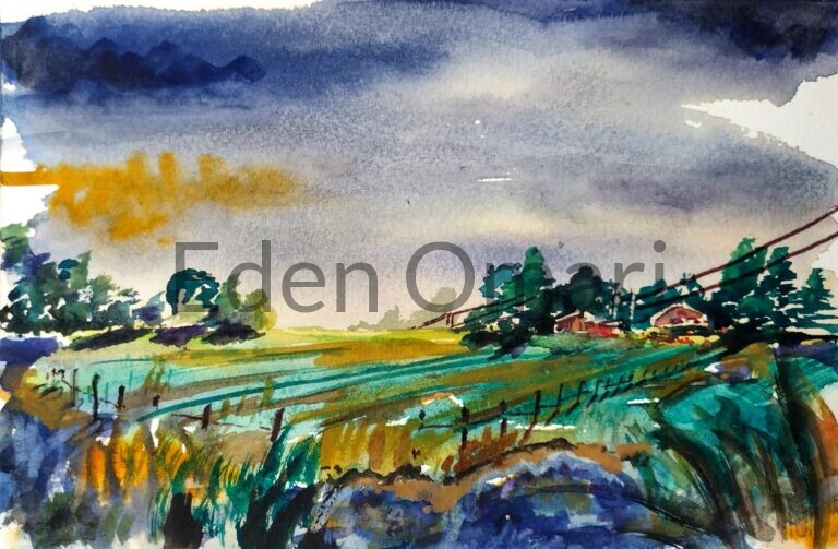 Morning Swept 6×9  $150