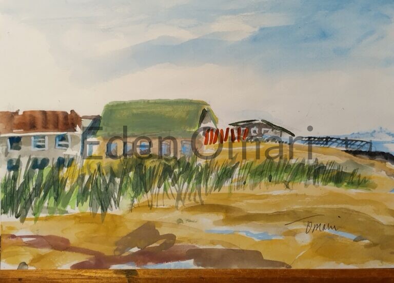 RiiS Beach Queens 8×12 $150
